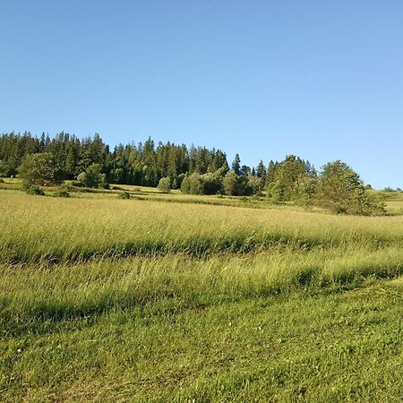 Czarna Góra Villa Cicho Sza מראה חיצוני תמונה